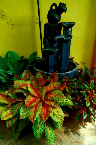 Whatsapp Image 2022 03 23 At 8.41.36 Am 1