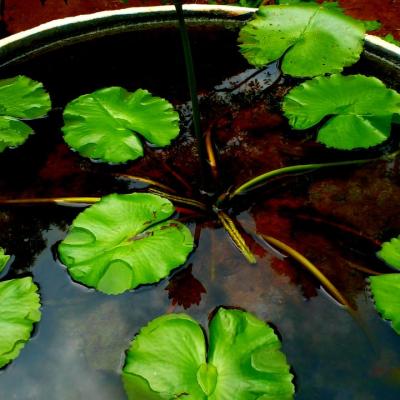 Whatsapp Image 2022 03 23 At 8.41.37 Am