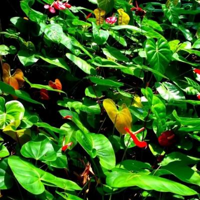 Whatsapp Image 2022 05 13 At 17.48.14